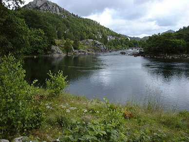 Bjerkreimselva in Norwegen. Lachs und Meerforelle