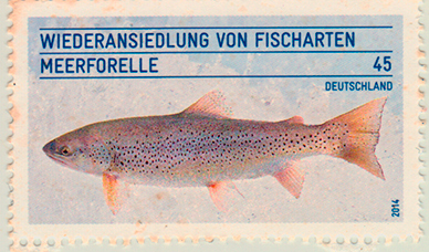Briefmarke Meerforelle