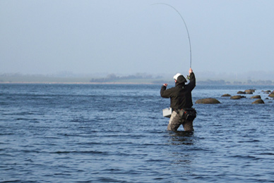 Fliegenfischer aus Hannover-Gehrden beim Fliegenfischen in der Ostsee