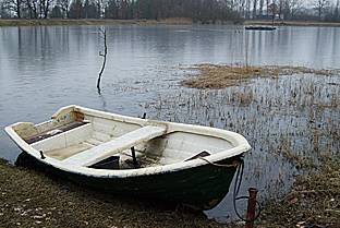 Es geht Ende Januar 2009 nichts mit Fliegenfischen im Stillwasser. Auch der Forellensee Dorotheental bei Neumünster ist wie alle norddeutschen Seen zugefroren.