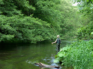 Rolf aus Bad Oeynhausen beim Fischen in der Bode