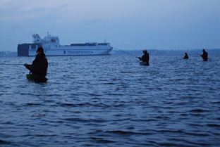 Ganz schön was los in der Kieler Bucht beim angeln auf Meerforelle