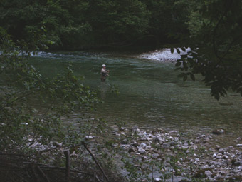 Sava in Slowenien