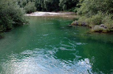 Klares Wasser der Sava