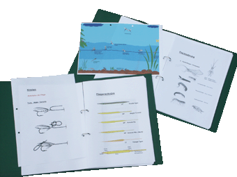 Kurse Fliegenfischen. Zu jedem Kurs erhalten die Teilnehmer umfassende Unterlagen.