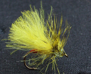 Steinfliege / Stonefly Yellow Sally
